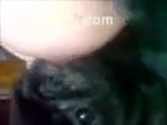 A bodacious dilettante is licked and bit by a little black dog. MILFs like muffins.